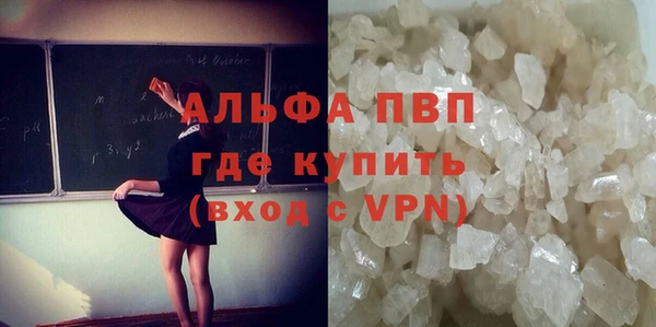 ПСИЛОЦИБИНОВЫЕ ГРИБЫ Инсар