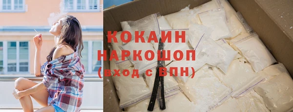 мет Инта