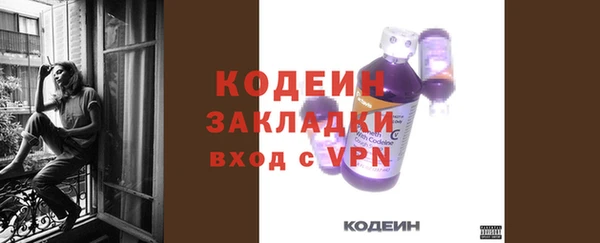 ПСИЛОЦИБИНОВЫЕ ГРИБЫ Инсар