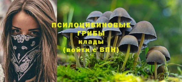 МДПВ Липки